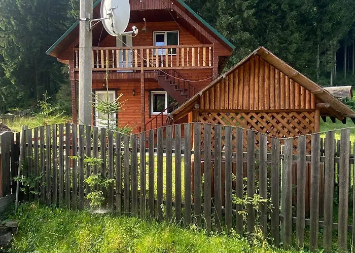 Alojamento de Turismo Selvagem подих лісу Synevyrsʼka Polyana