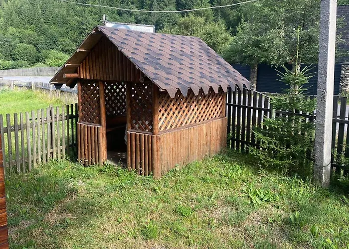 подих лісу Synevyrsʼka Polyana
