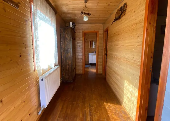 подих лісу Synevyrsʼka Polyana
