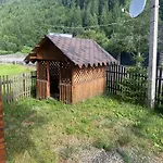 подих лісу Synevyrsʼka Polyana