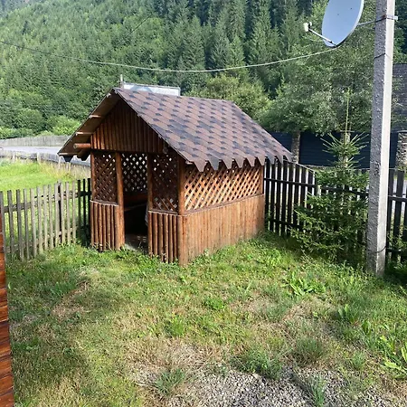 подих лісу Synevyrsʼka Polyana